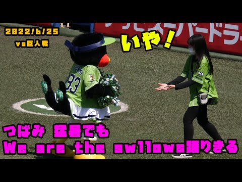 つばみ　猛暑の中でもWe are the swallows踊りきる！　2022/6/25 vs巨人