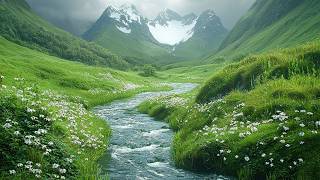 Calm Spring River in a Quiet Mountain Valley 🌿 Relaxing Music