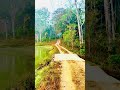 യാത്ര... പ്രകൃതിയിലേക്ക്" (Journey... into nature)#travel#instagram#trending#keralagram#nature#happy