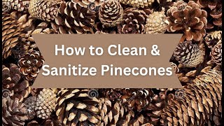 How to Clean & Sanitize Pinecones