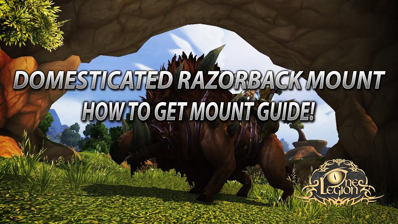 How To Get Domesticated Razorback Mount Guide - Steamwheedle ...