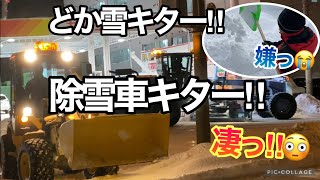 札幌にどか雪☃️ツルツル路面🥶除雪車フルパワー次々集結！は凄かった😳