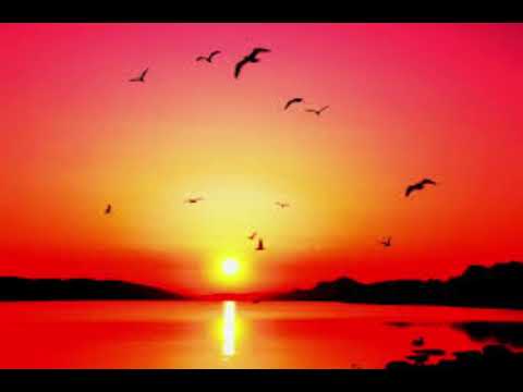 REVAZ PIPIA THAMLIANI ახლა როგორ მინდა Georgianmusic Vipmusic