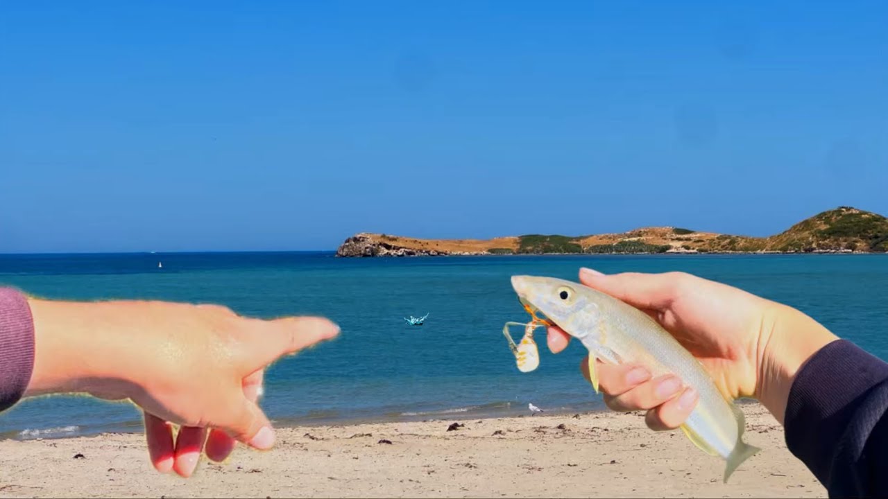 «Ловля желтоперого мерланга на мелководье с визуальным наблюдением | Рокингем, штат Вашингтон»