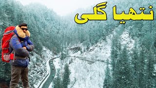 Nathia Gali & Murre Heavy Snowfall Adventure | Snowfall In Pakistan