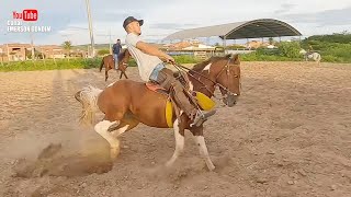 NAS BAIAS E NA PISTA DE VAQUEJADA COM A TROPA DO HARAS JV