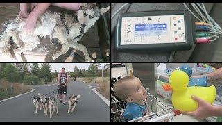 Giving 4 Huskies A Wash Matthew Gets A Heart Monitor Back To School Shopping Vlog