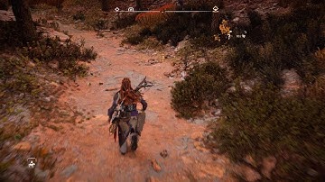 Horizon Forbidden West Ambient Occlusion Bug