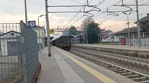 Passaggio di un merci trainato da una 494 di FNM group 