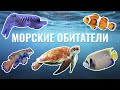 Морские обитатели | Жители морей и океанов для детей | Умняха