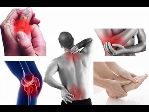 Video: Các Bệnh Về Cơ Và Xương ở Ngựa