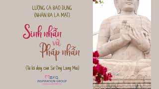 Bài 5: SINH NHẪN & PHÁP NHẪN | Lượng cả bao dung: Nhẫn Ba La Mật | Lời dạy từ Sư Ông Làng Mai