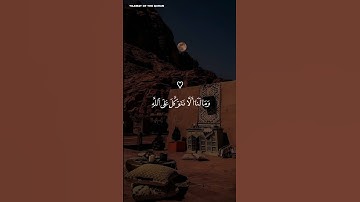 توكل على الله واطمئن 🕊️| تلاوة تهدئ القلب 🎧| إسلام صبحي #تلاوة_مؤثرة #short