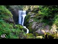 4K Nature Film: &quot;Flow Of Life&quot; 30 Minutes of Beautiful Scenery &amp; Relaxing Music for Meditation