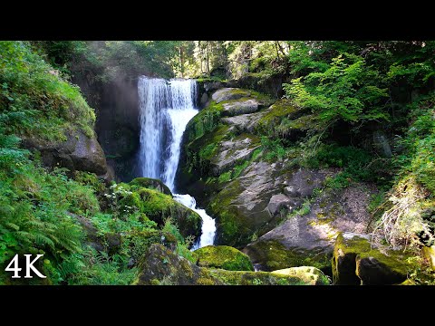 4K নেচার ফিল্ম: "ফ্লো অফ লাইফ" 30 মিনিটের সুন্দর দৃশ্য এবং ধ্যানের জন্য রিলাক্সিং মিউজিক