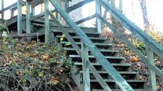877 Riverview Ave video tour