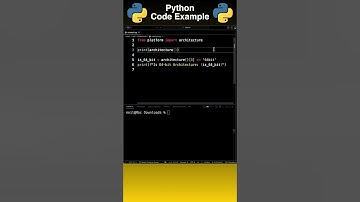 Python: Check if Your System is 64-bit [How To]