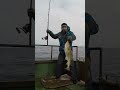Рыбалка на Баренцевом море: трофейная треска и зубатка