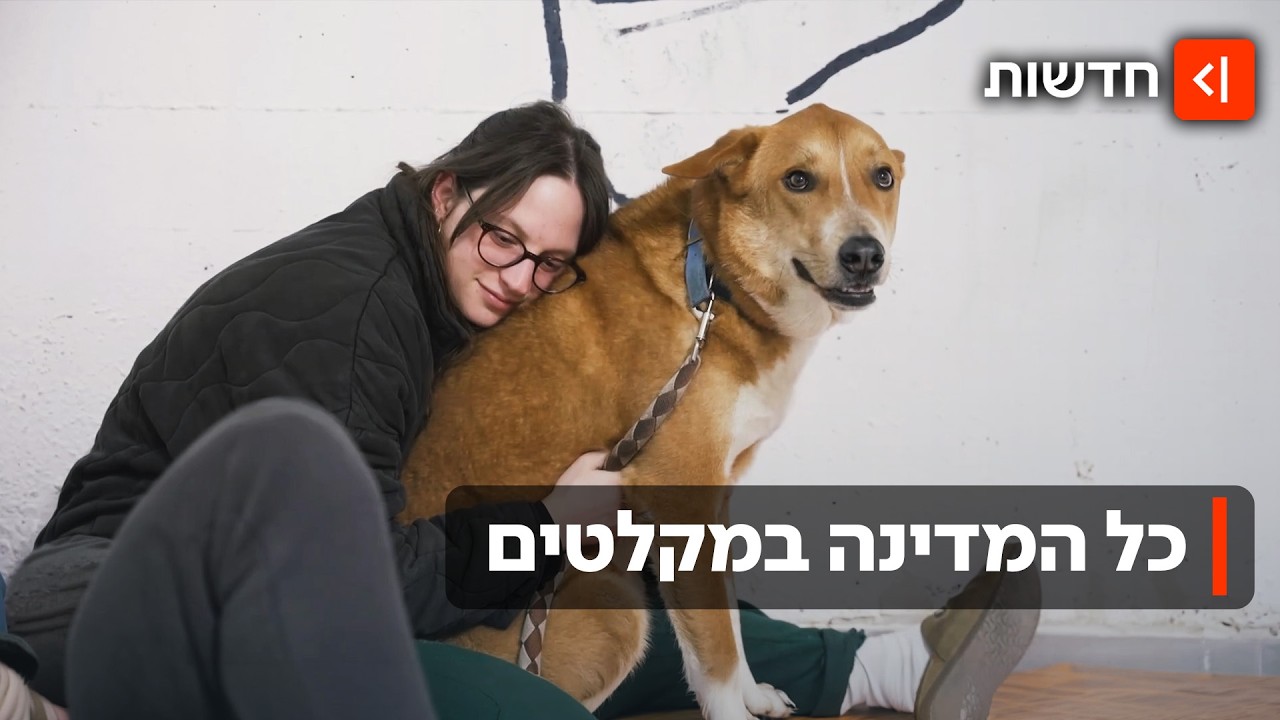 מסיבות מחתרתיות וילדים בפיג'מות: לילה במקלטים של תל אביב