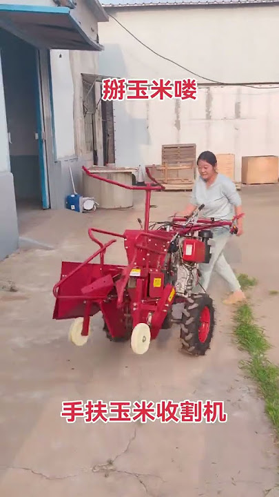 #grain #harvest #corn #grainharvest #farming #farmmachinery