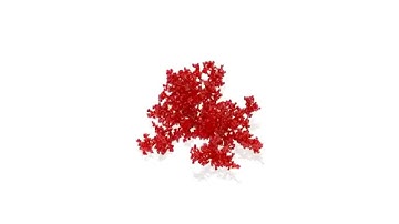 Diffusion-limited aggregation