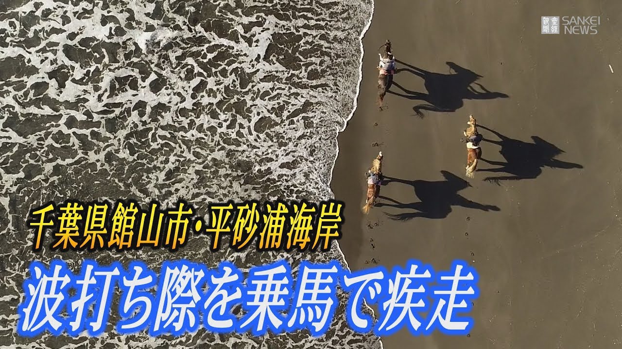 波打ち際を乗馬で疾走 Youtube