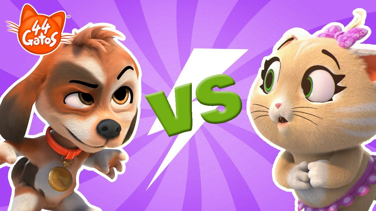 44 Gatos | Gatos vs. Cachorros. E um começo de uma nova amizade?