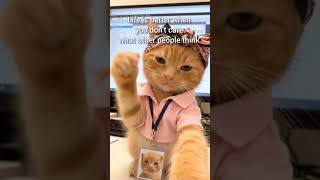 Student 😁#students #study #neet #uphomeguard