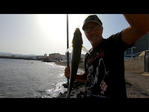 Video: Partner Di Pesca