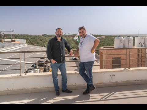 Medjool Village - Dates