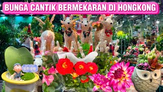 BERMEKARAN,JALAN2 DIPASAR BUNGA HK🌻🌸 #subscribe#bunga#trending#youtubeshorts#youtube#shorts#short