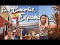 Volunteering in Tenerife, Canary Islands, SPAIN 🇪🇸🇮🇨