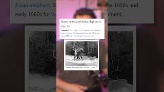 Wikipedia’s Funniest Disambiguators