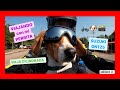 ENTRENANDO a mi perro para VIAJAR en MOTO de BAJA CILINDRADA, SUZUKI GN125 I EPISODIO 001