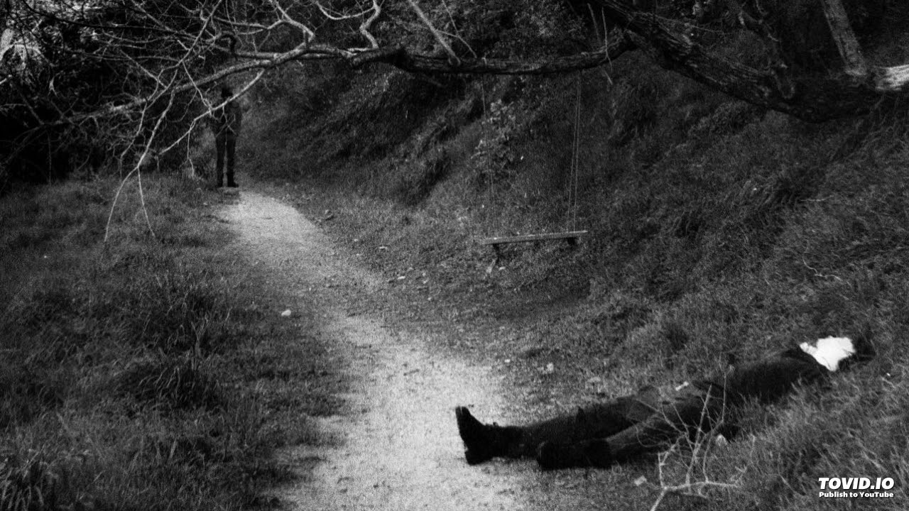 Bones & Greaf - Situation