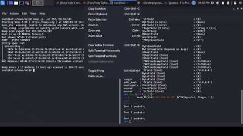 Boot2Root PrivEscalation with BufferOverflow and Dirty COW - Demo