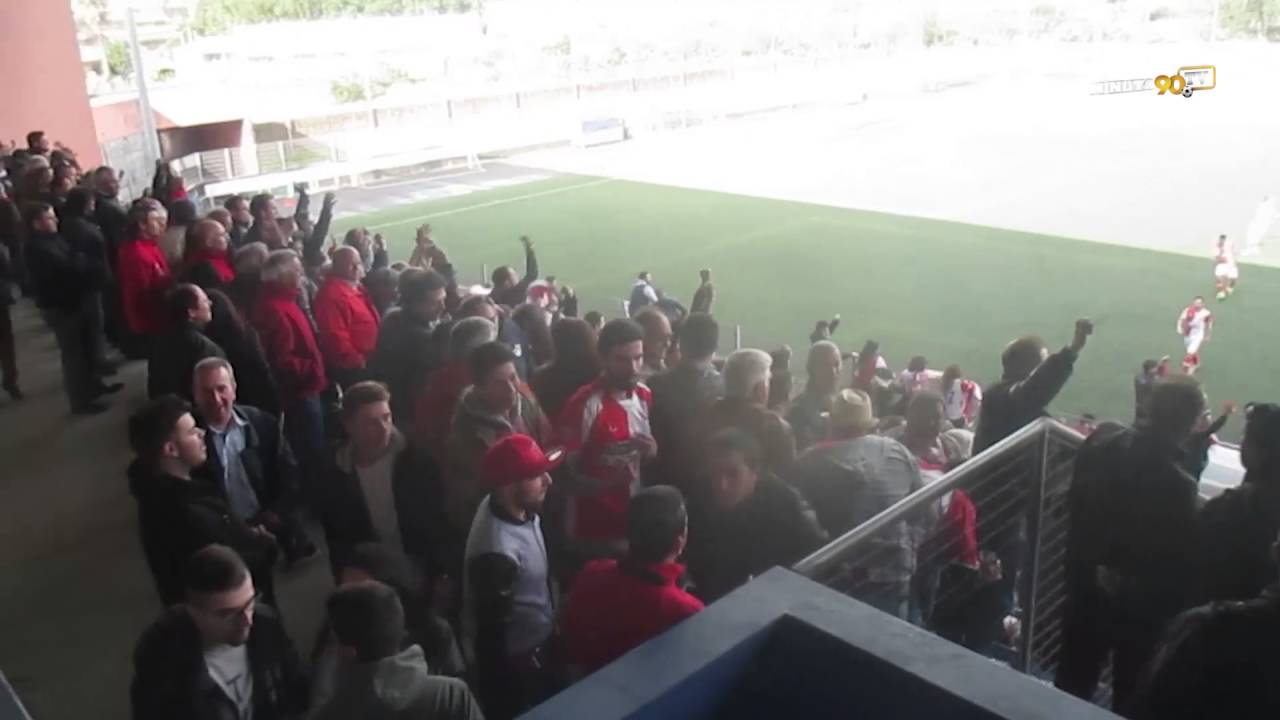 ADEPTOS DO FC AVINTES EM GRANDE FESTA - SUBIDA DE DIVISÃO!!