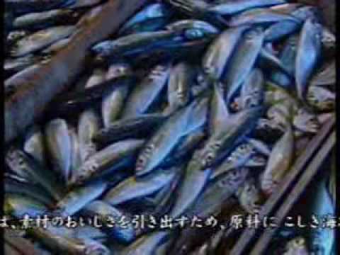 勘場蒲鉾店 30秒CM
