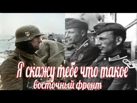 Видео: Устойчивое бегство в Восточном Хэмптоне: северо-западная персиковая ферма