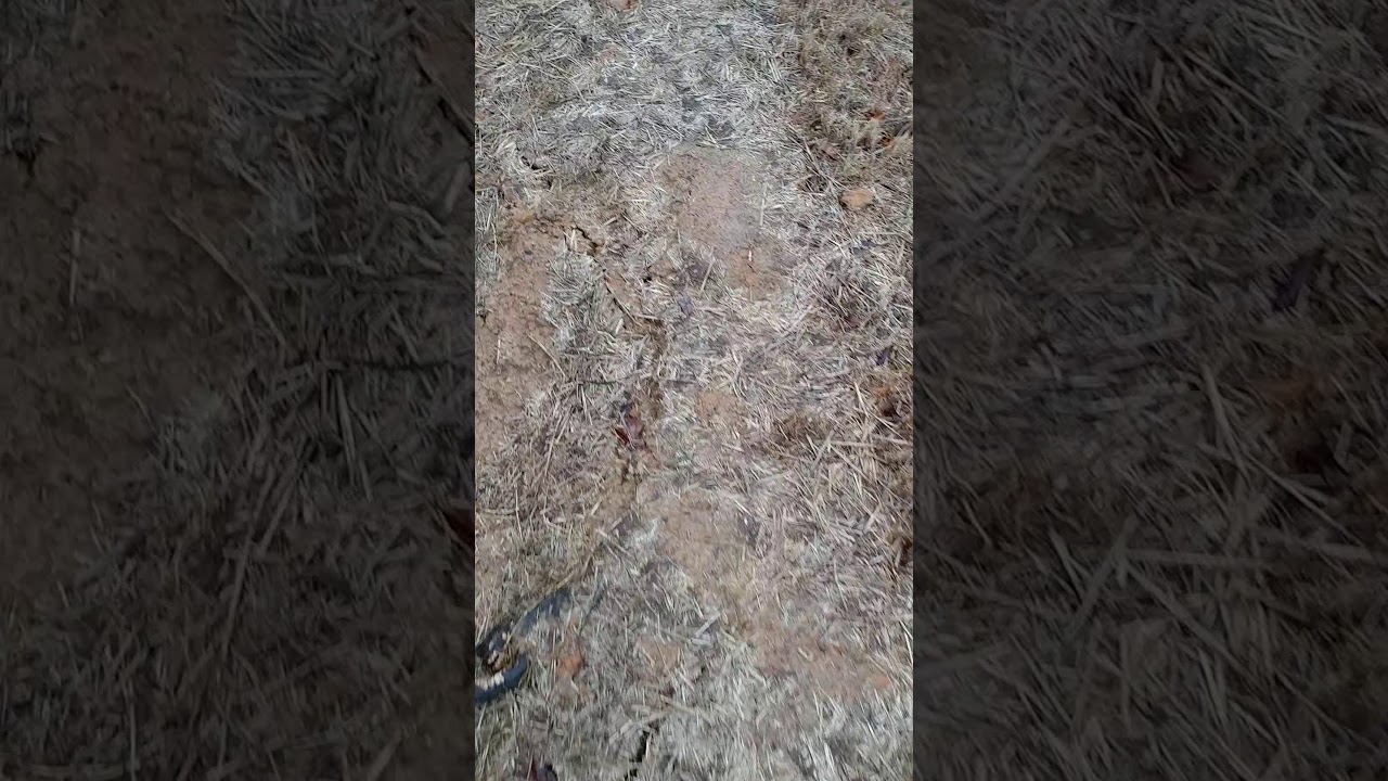 More stress cracks another view of landslide