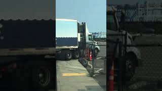 Professional Truck Driver