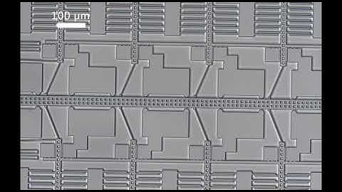 Close Up Of A Substrate Spring Deflected By an Electrostatic Inchworm Motor
