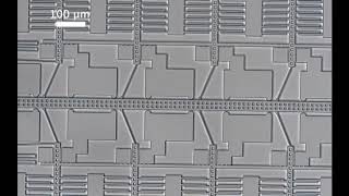 Close Up Of A Substrate Spring Deflected By an Electrostatic Inchworm Motor