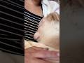 この子は私が産んだに違いない