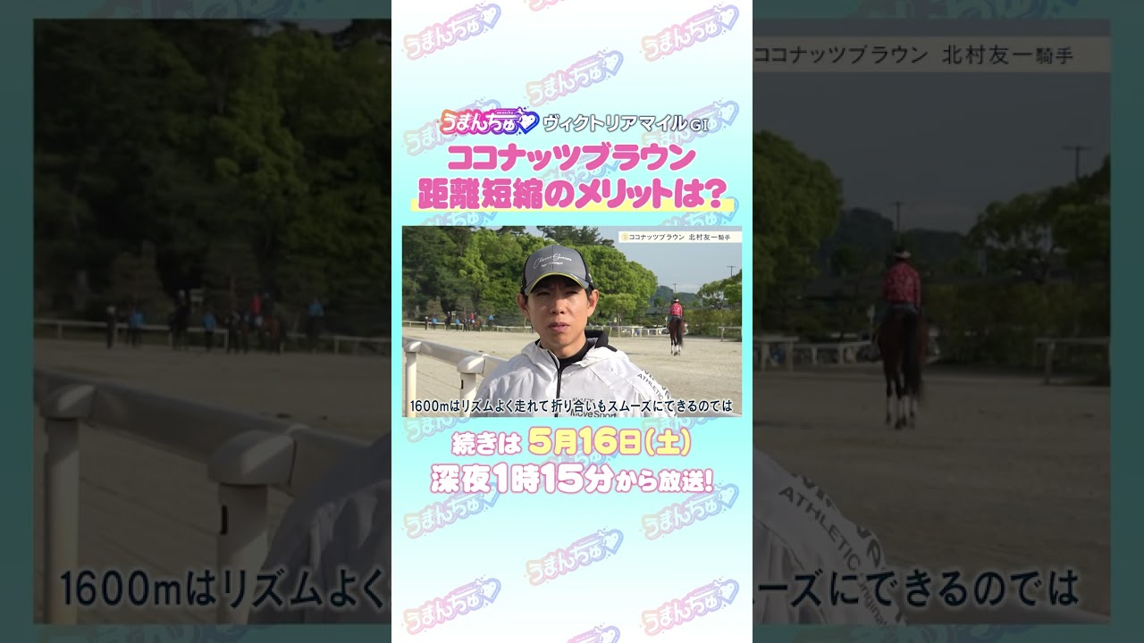 関連動画2
