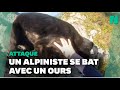 Au japon un alpiniste attaqu par un ours les images sont impressionnantes