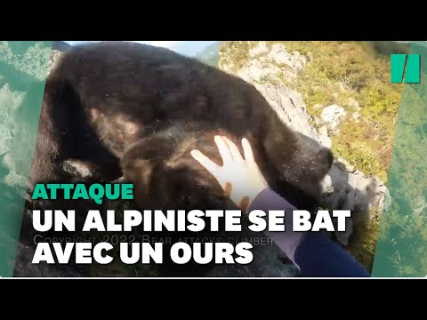Vidéo: Comment faire face à un ours dans le jardin ?