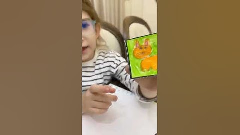 Unit 7 Pets Video Homework