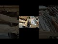 Écorché, the work, the tools: anatomy study in wood