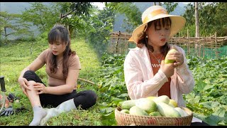 Take care of fruit trees, clean grass around the farm. Help my mother harvest melons to sell